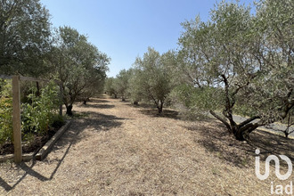 achat maison bize-minervois 11120