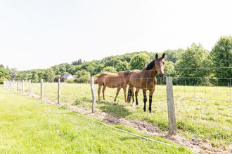 achat maison blere 37150