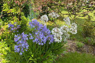 achat maison bois-d-arcy 78390