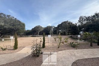 achat maison bonifacio 20169