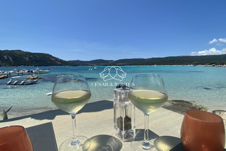 achat maison bonifacio 20169