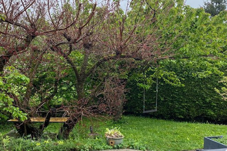 achat maison bons-en-chablais 74890