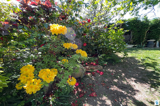 achat maison bonsecours 76240