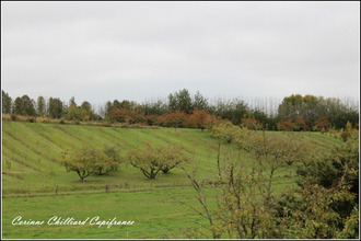 achat maison bonzee 55160