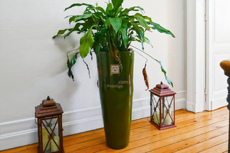 achat maison bordeaux 33100