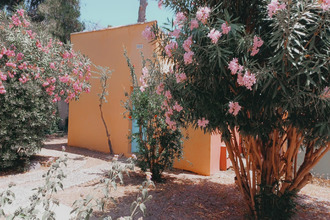 achat maison borgo 20290