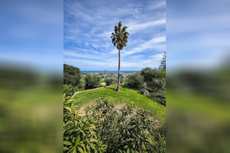 achat maison borgo 20290