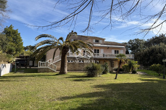 achat maison borgo 20290