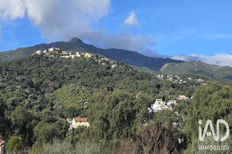 achat maison borgo 20290