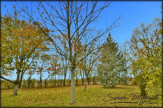 achat maison bouloire 72440