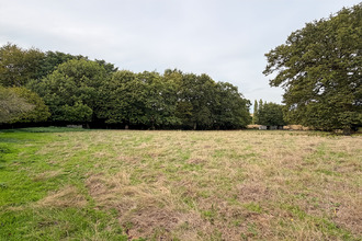 achat maison breal-sous-mtfort 35310
