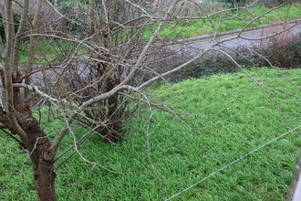 achat maison brest 29200