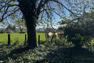 achat maison briant 71110