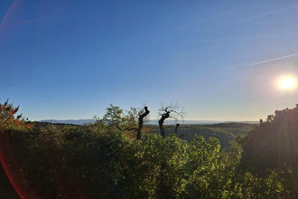 achat maison burlats 81100