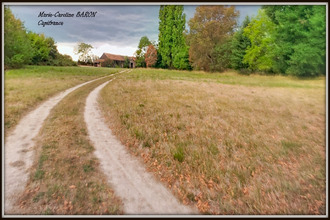 achat maison buzancais 36500