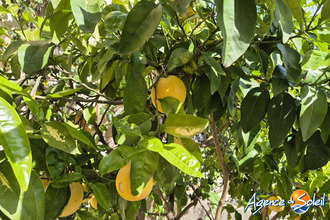 achat maison cabestany 66330