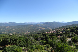 achat maison calcatoggio 20111