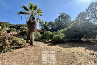 achat maison calenzana 20214