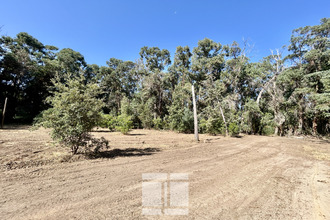 achat maison calenzana 20214