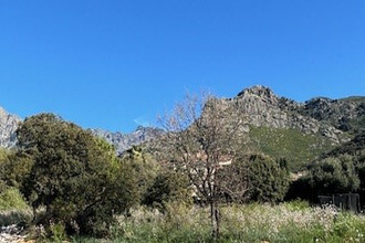 achat maison calenzana 20214
