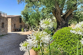 achat maison calvi 20260
