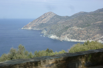 achat maison canari 20217