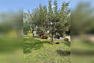 achat maison canejan 33610