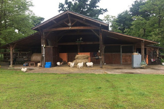 achat maison captieux 33840