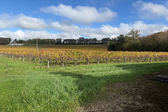 achat maison cars 33390