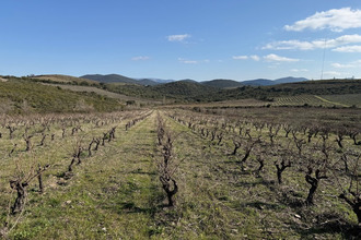 achat maison cascastel-des-corbieres 11360