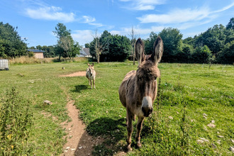 achat maison cast 29150