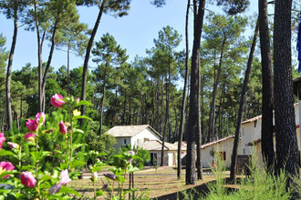 achat maison casteljaloux 47700