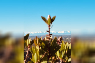 achat maison castelnau-d-estretefonds 31620