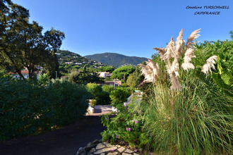 achat maison cavalaire-sur-mer 83240