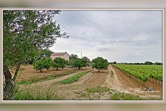 achat maison cazouls-les-beziers 34370