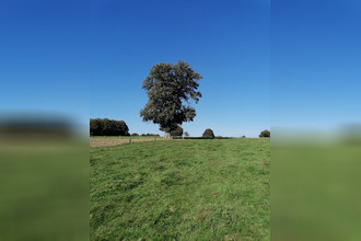 achat maison ceauce 61330