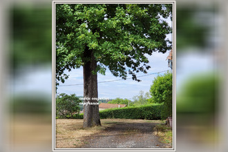 achat maison celles-sur-durolle 63250
