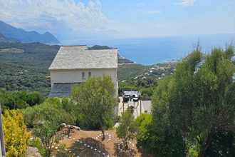 achat maison centuri 20238