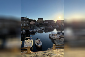 achat maison centuri 20238