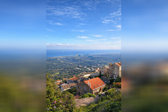 achat maison cervione 20221