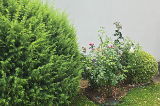 achat maison cesson-sevigne 35510