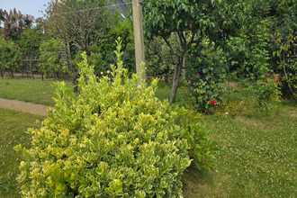 achat maison cesson-sevigne 35510