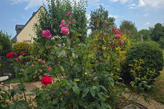 achat maison cesson-sevigne 35510