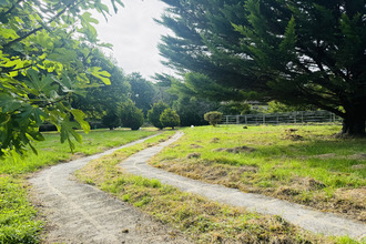 achat maison chailly-en-gatinais 45260