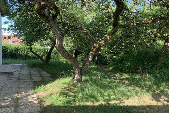 achat maison chaligny 54230