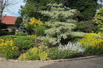 achat maison chalon-sur-saone 71100