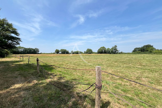 achat maison chalonnes-sur-loire 49290