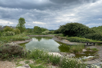 achat maison chamberet 19370