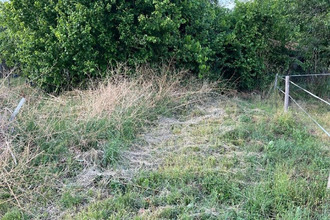 achat maison champagne-mouton 16350