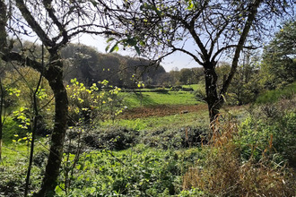 achat maison champs-sur-tarentaine-marchal 15270